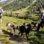 wandern_mit_hund_in_der_gruppe_wanderhotel_vinschgerhof