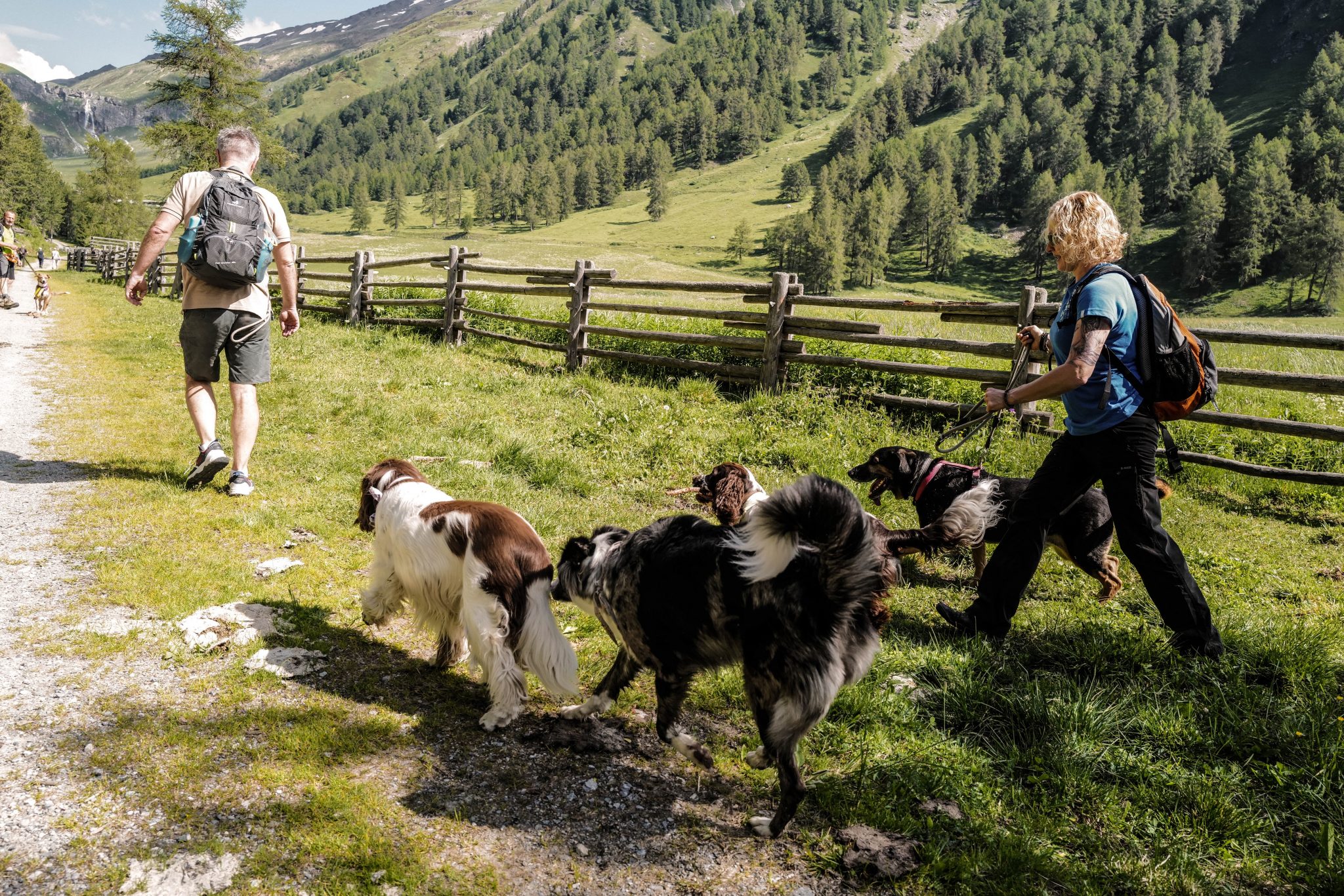 wandern_mit_hund_in_der_gruppe_wanderhotel_vinschgerhof