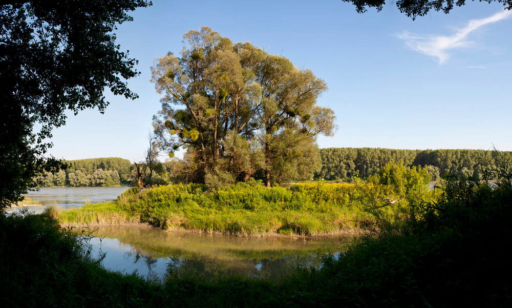 Nationalpark Donauauen