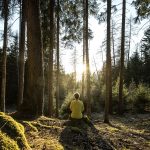 die_ruhe_und_balance_finden_in_den_waeldern_der_seiser_alm_c_seiser_alm_marketing_-_helmuth_rier_hotel_steger-dellai