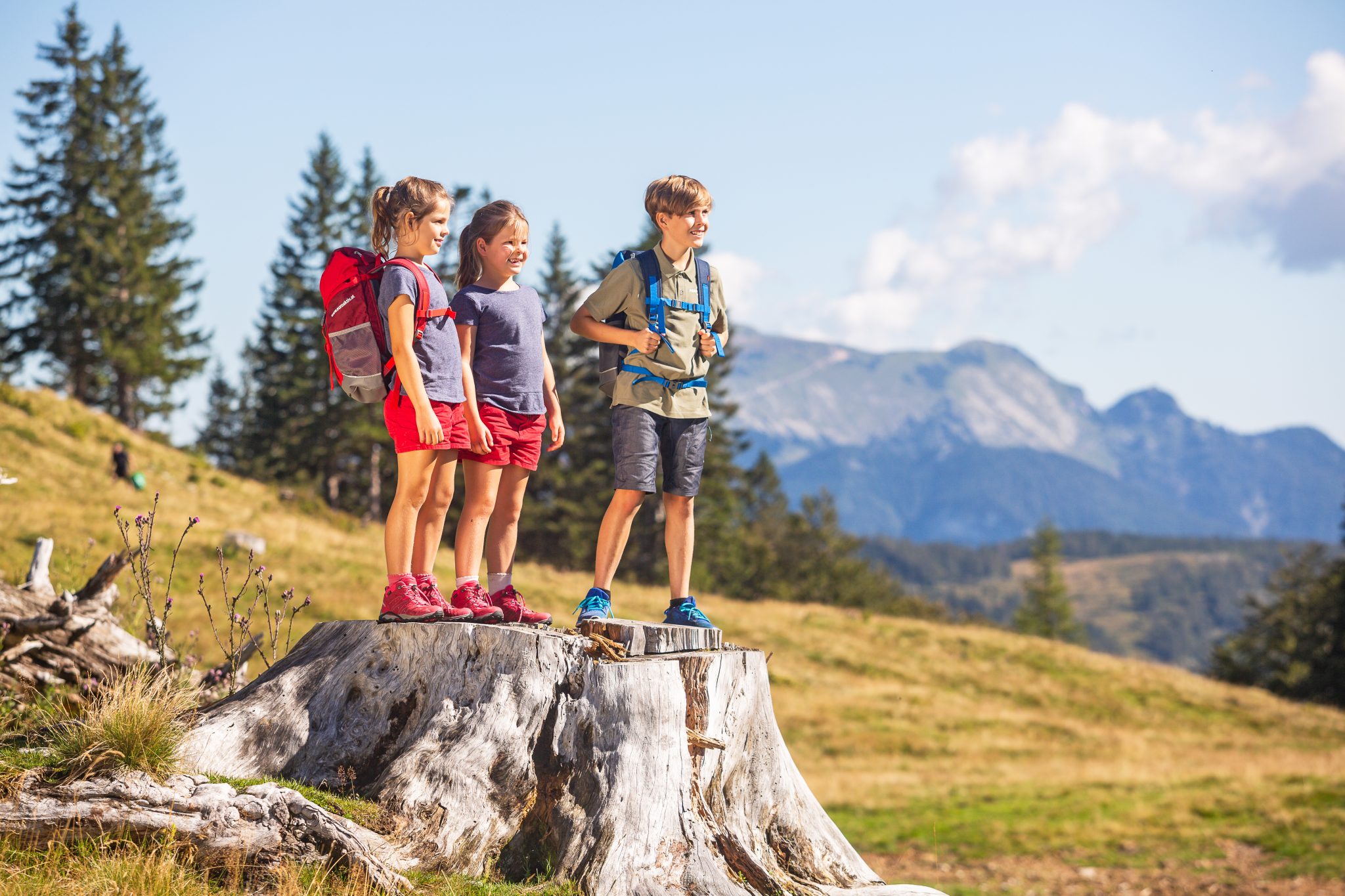 eurohike-wanderreise-salzkammergut-genneralm-kinder1