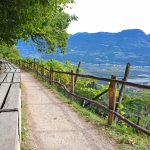 eurohike-wanderreise-suedtiroler-wein-almenweg-lana-waalweg