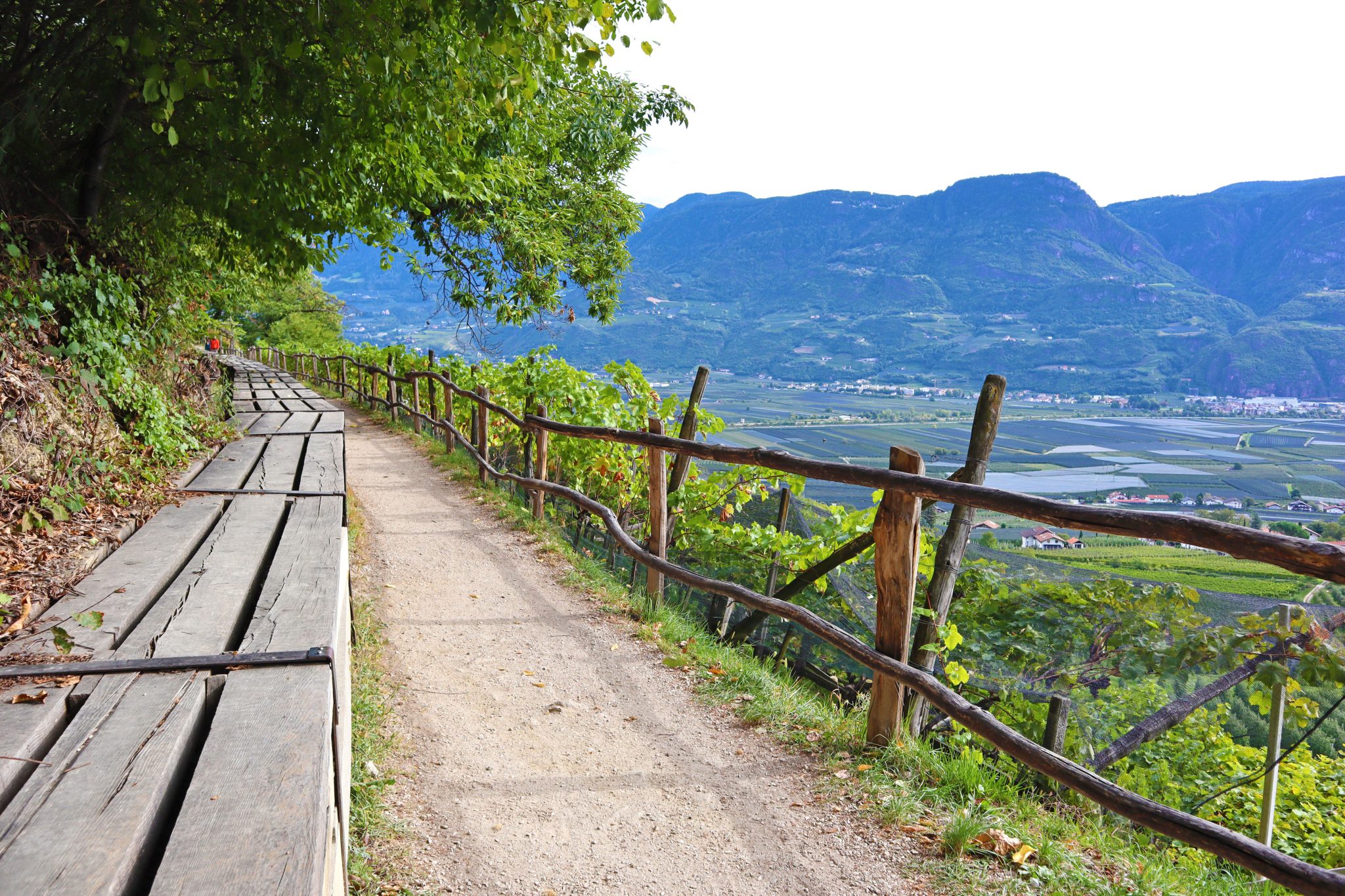 eurohike-wanderreise-suedtiroler-wein-almenweg-lana-waalweg