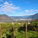 eurohike-wanderreise-suedtiroler-wein-almenweg-st-pauls-weinreben-panorama-bozen-dolomiten