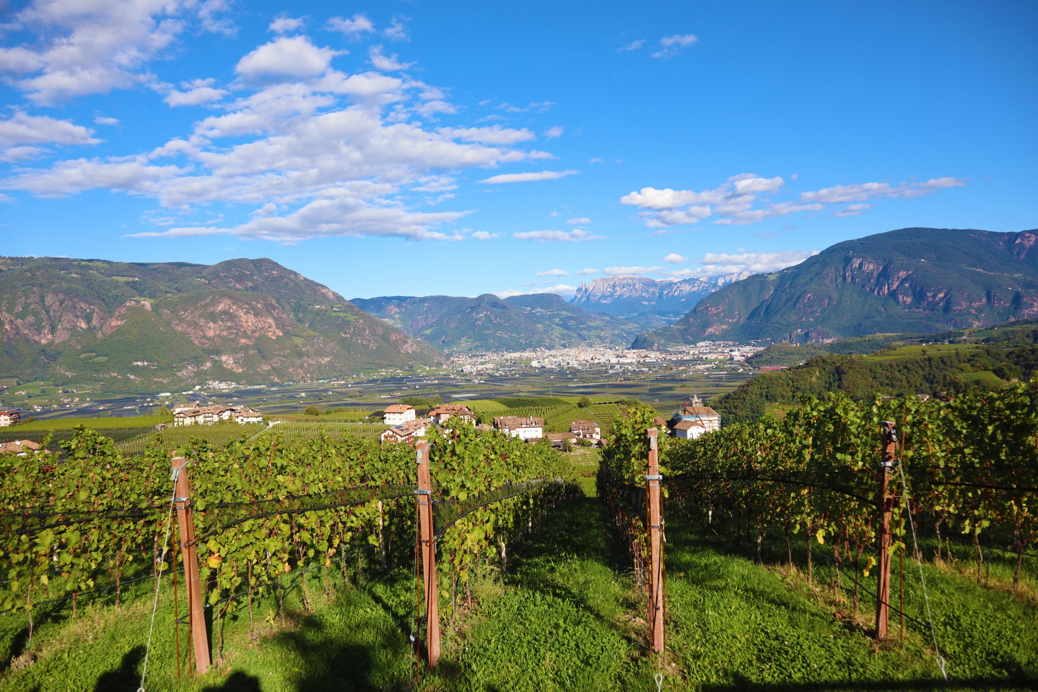 eurohike-wanderreise-suedtiroler-wein-almenweg-st-pauls-weinreben-panorama-bozen-dolomiten