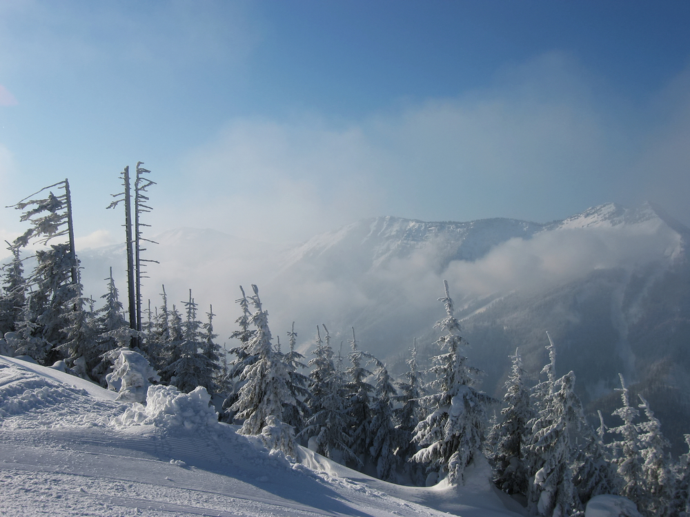 Alpine,Mountain,,Lackenhof,,Austria.,Mountain,Peaks,Covered,With,Snow,,Trees