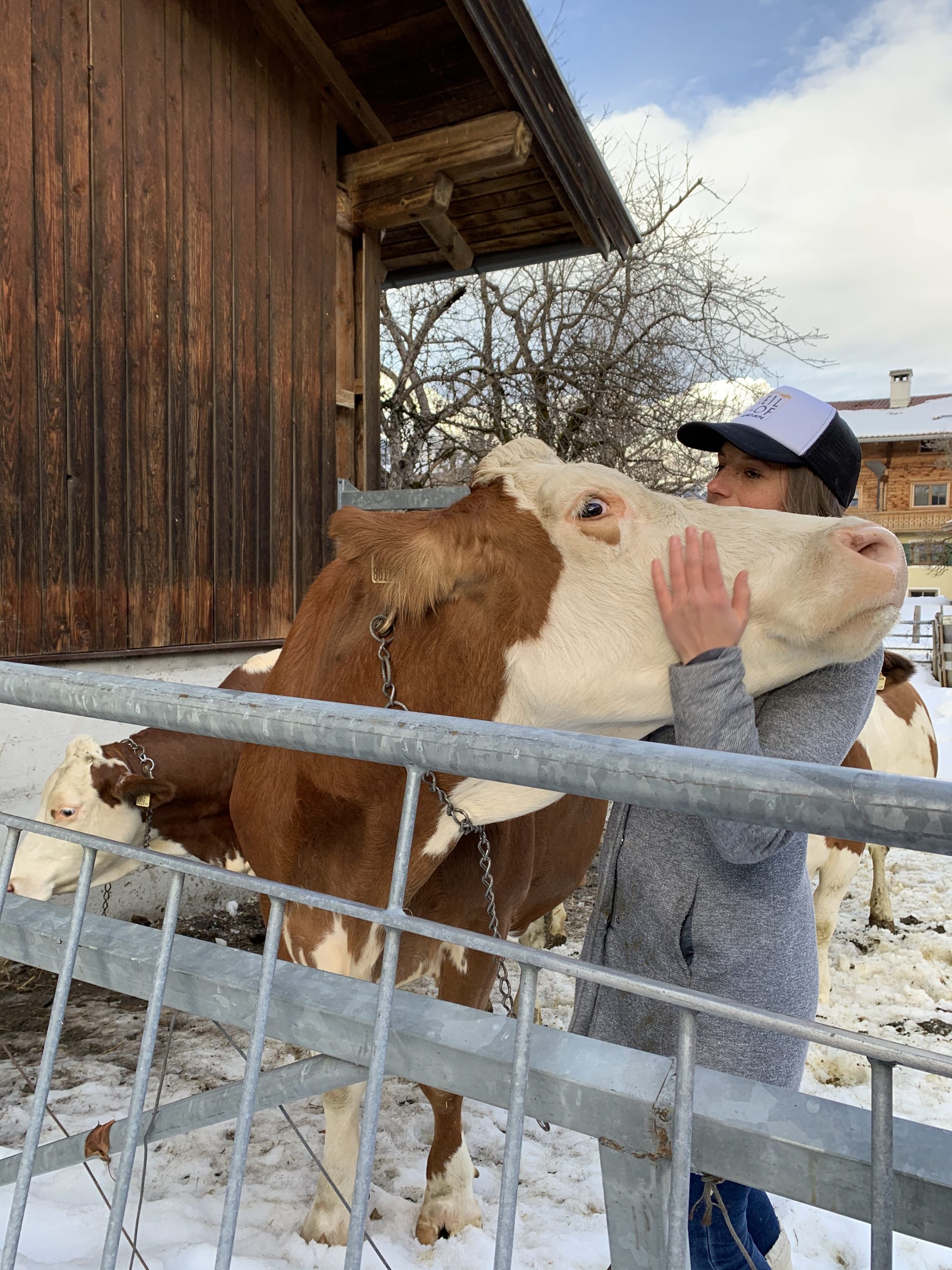 Auch Bio-Rohmilch von den eigenen Kühen gibt's am Keilhof