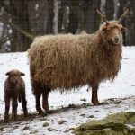 Weitere-Top-Ausflugsziele-öffnen-ihre-Pforten-3