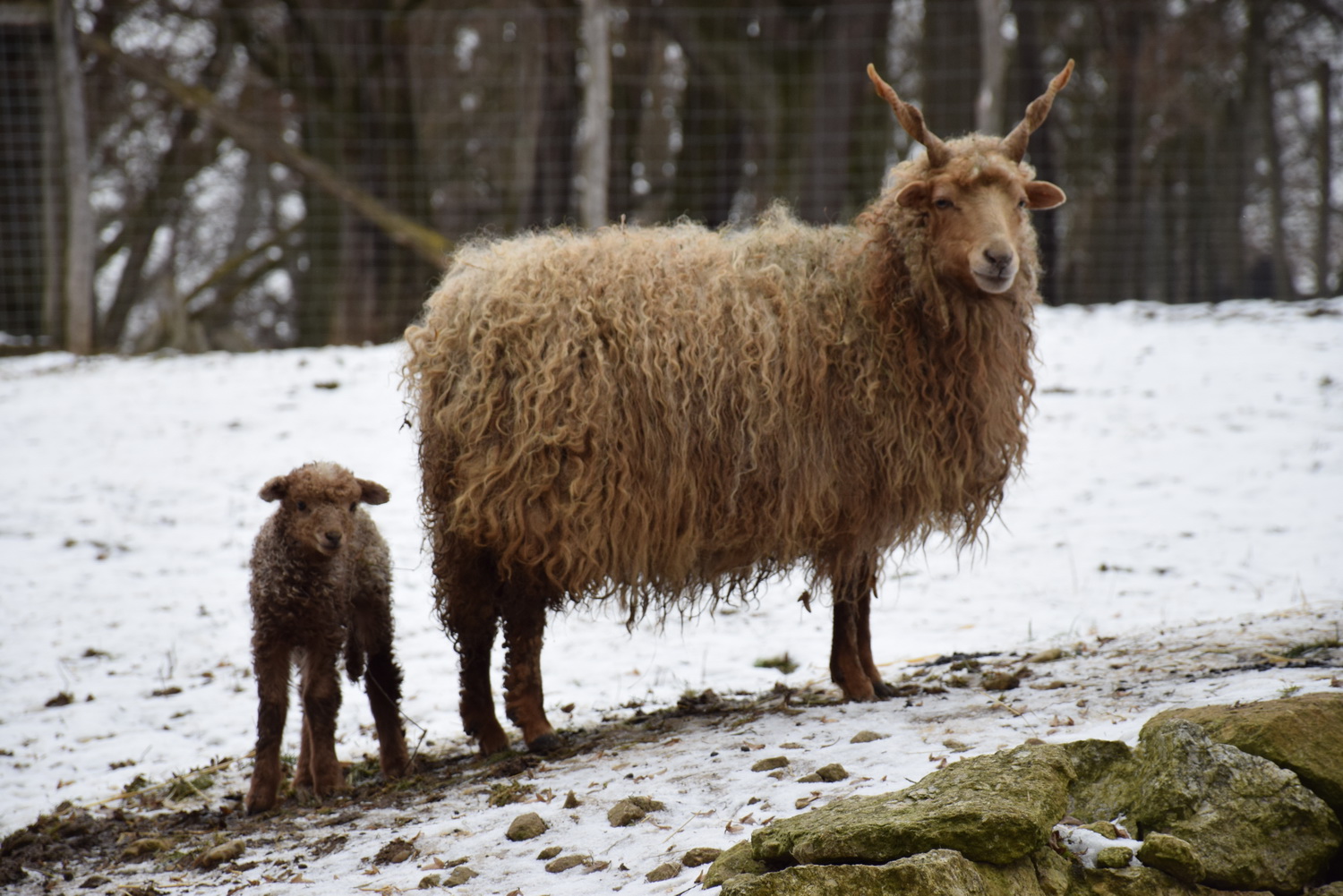 Weitere-Top-Ausflugsziele-öffnen-ihre-Pforten-3