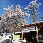 Weitere-Top-Ausflugsziele-öffnen-ihre-Pforten-5