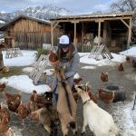 Julia Hölzl im mobilen Gehege mit Ziegen und Hennen