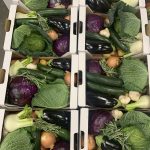 04_Gemüsekisten stehen für die Abholung bereit_c_Obsthaus Haller