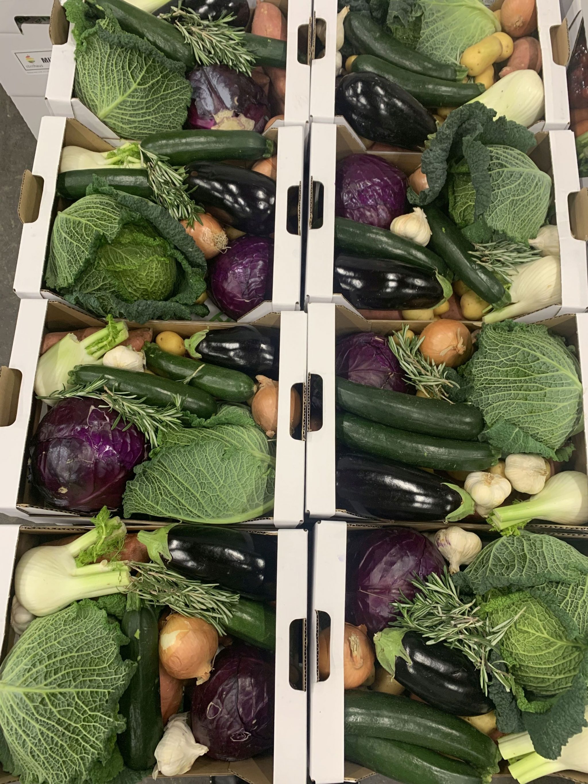 04_Gemüsekisten stehen für die Abholung bereit_c_Obsthaus Haller