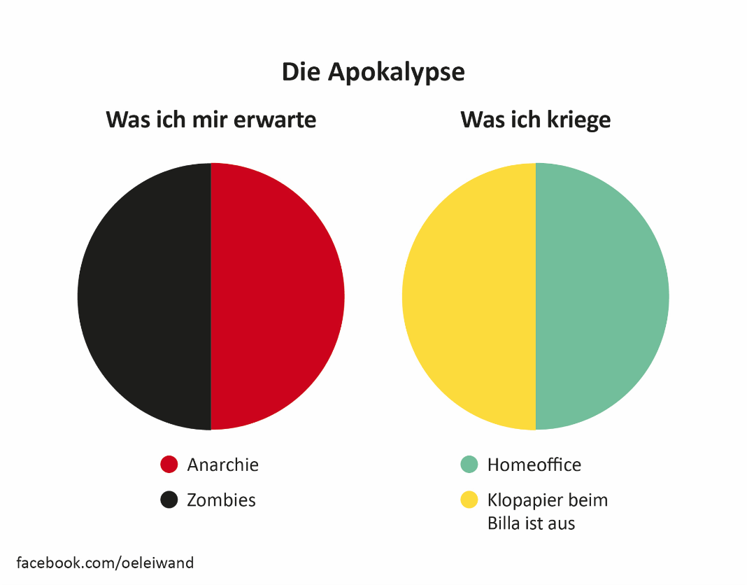 Katzi - 547_OEleiwand