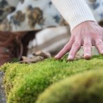 die_natur_fuehlen_apart_suiten_hotel_weiden