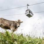 montafoner_zeit_gondeldinner_am_golm