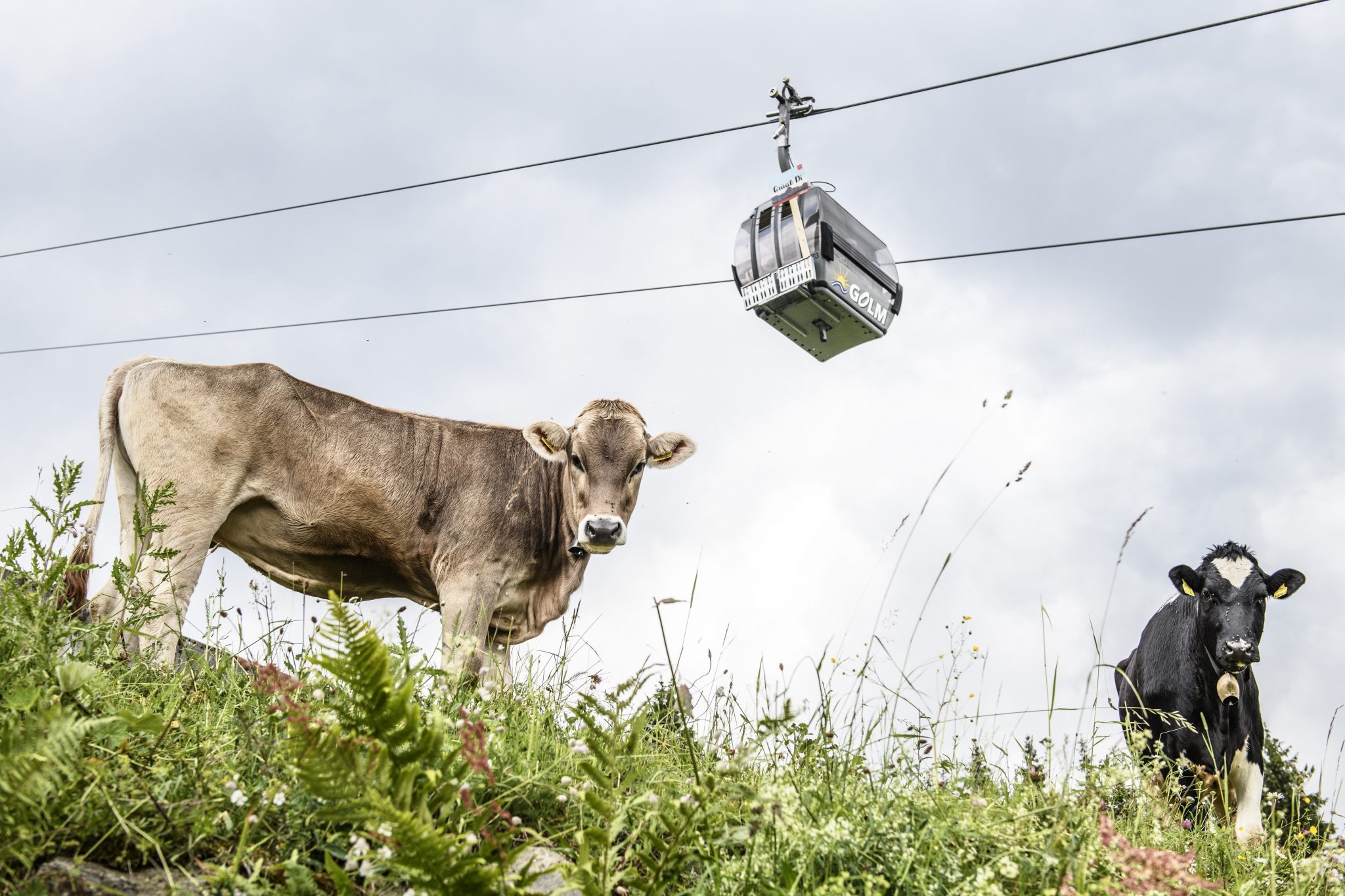 montafoner_zeit_gondeldinner_am_golm