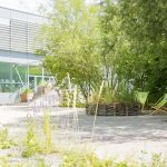 Museumsgarten (2) Museum NÖ