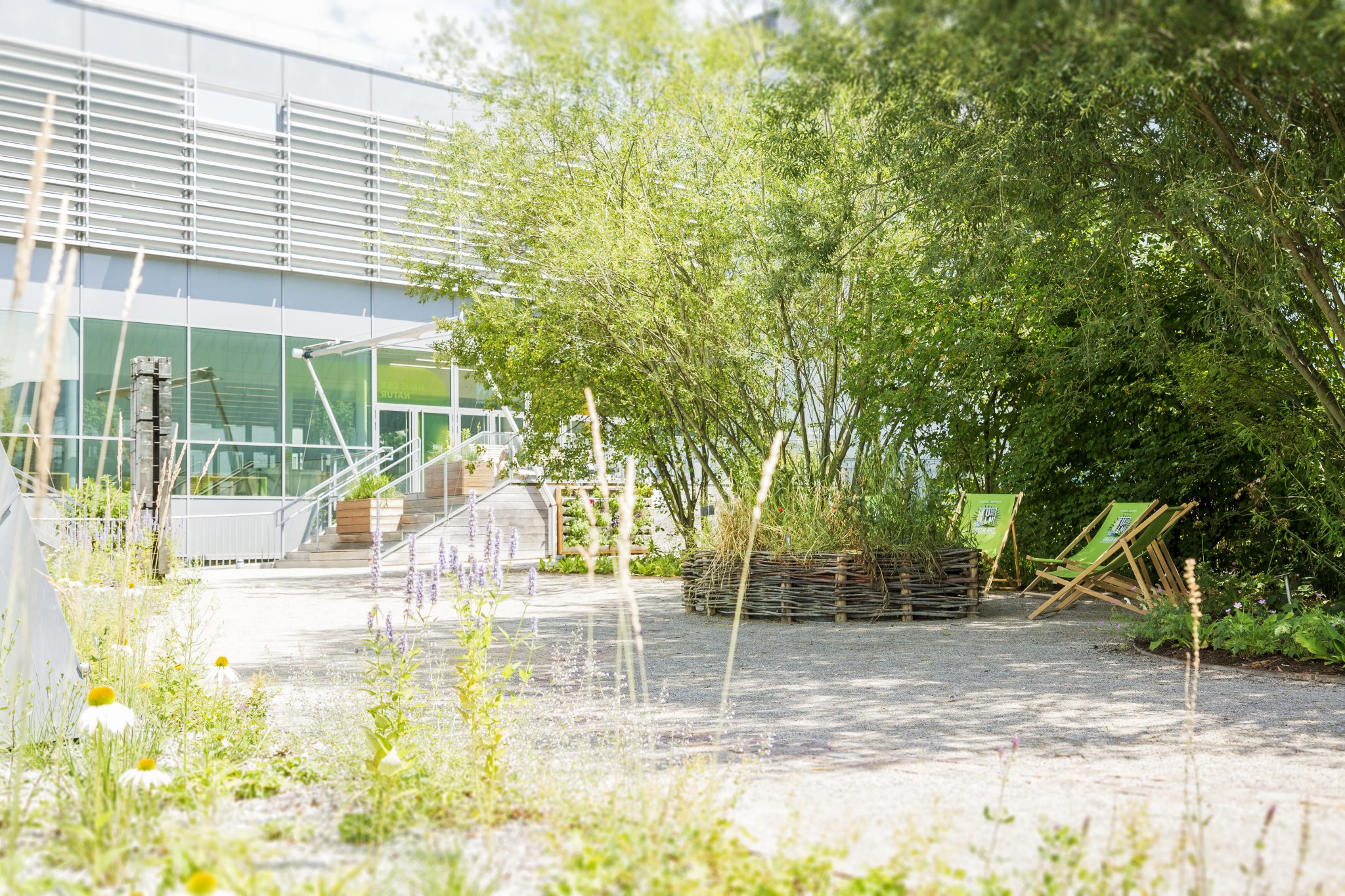 Museumsgarten (2) Museum NÖ