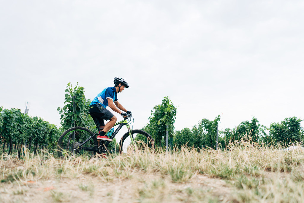 Radfahren im Weinvirtel, Weinviertel Tourismus Gollner