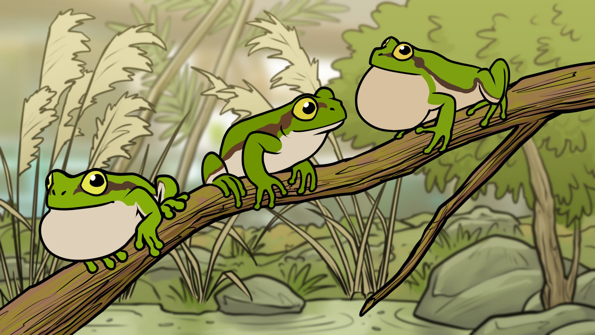 Tiergeschichten Laubfrösche