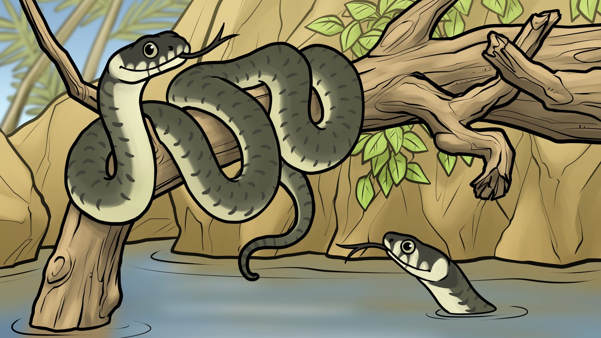 Tiergeschichten Ringelnatttern