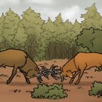 Tiergeschichten Rotwild