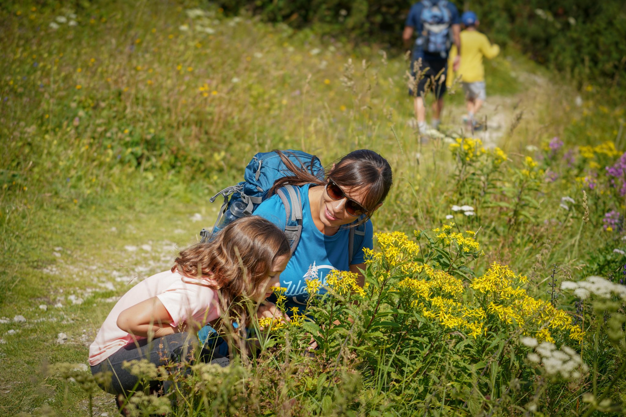 Top-Ausflugsziele Niederösterreichs