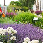 Top-Ausflugsziele Niederösterreichs-3