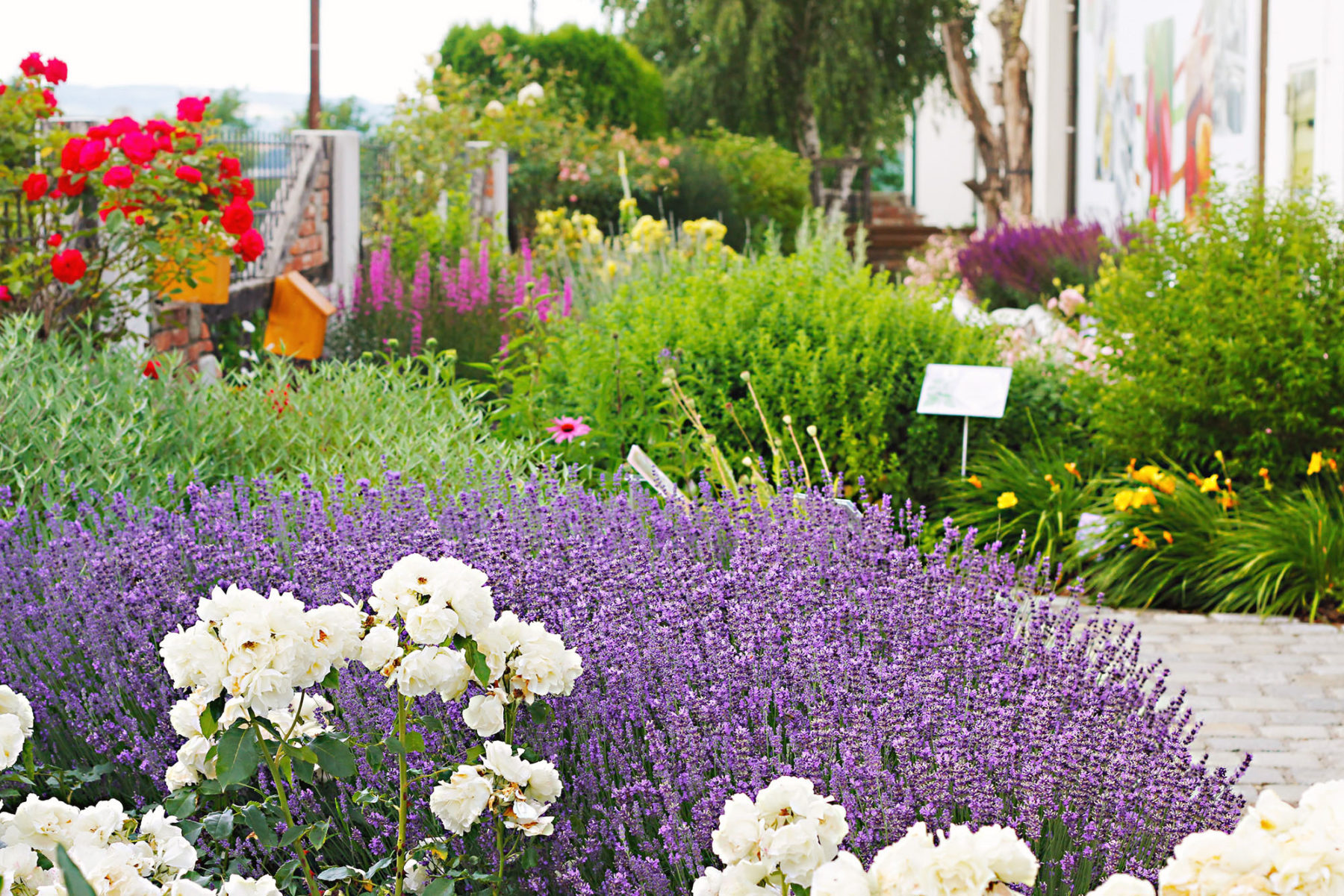 Top-Ausflugsziele Niederösterreichs-3