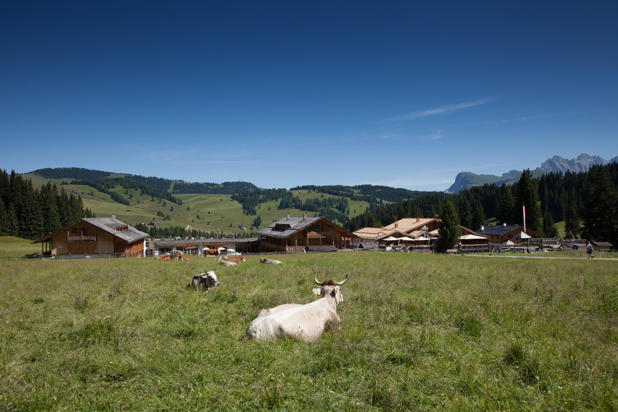 die_einzigartige_kulisse_der_seiser_alm_beim_hotel_tirler_tirler-_dolomites_living_hotel
