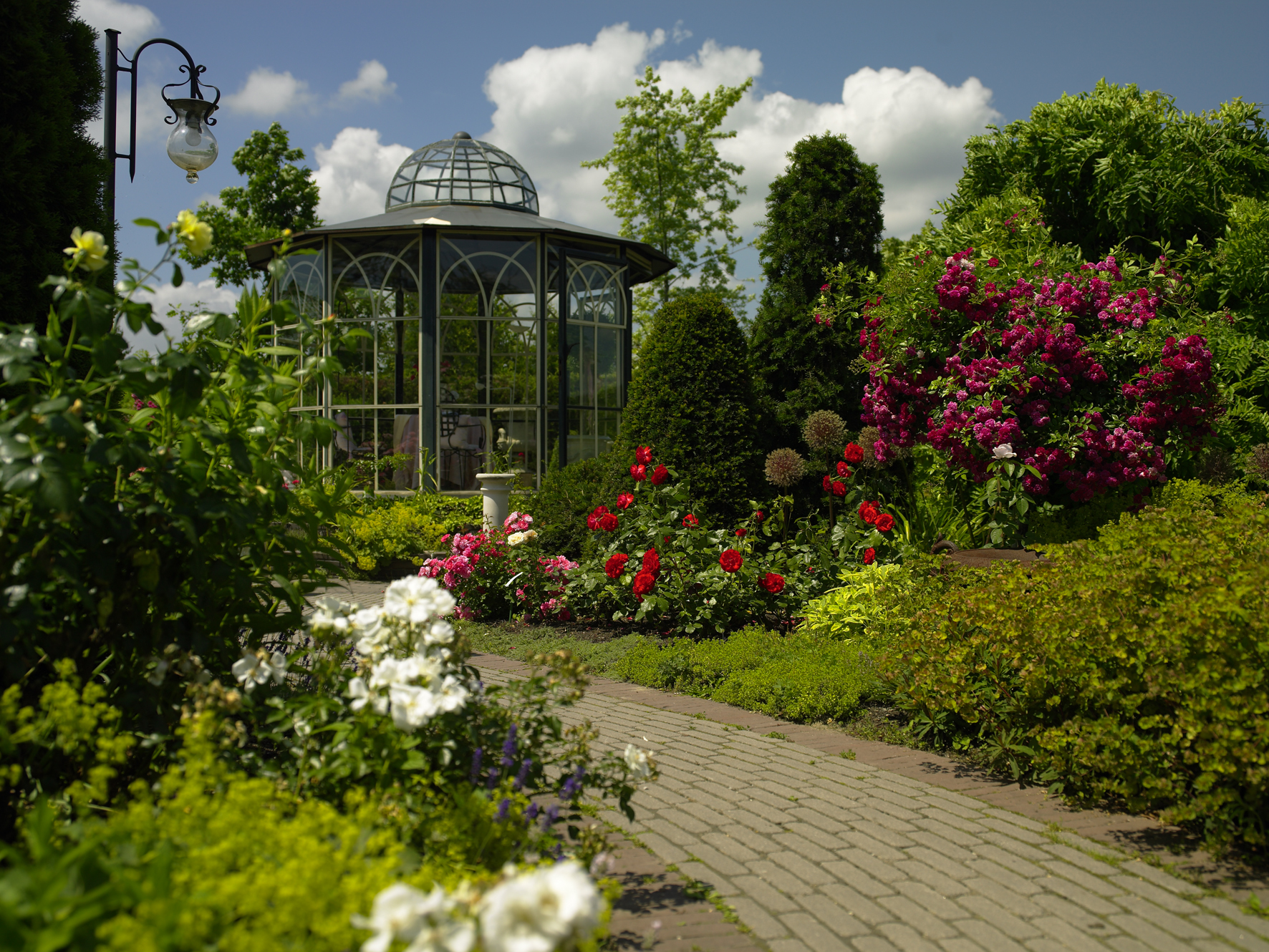 kittenberger_pavillonweg_c_natur-im-garten-alexander-haiden_1