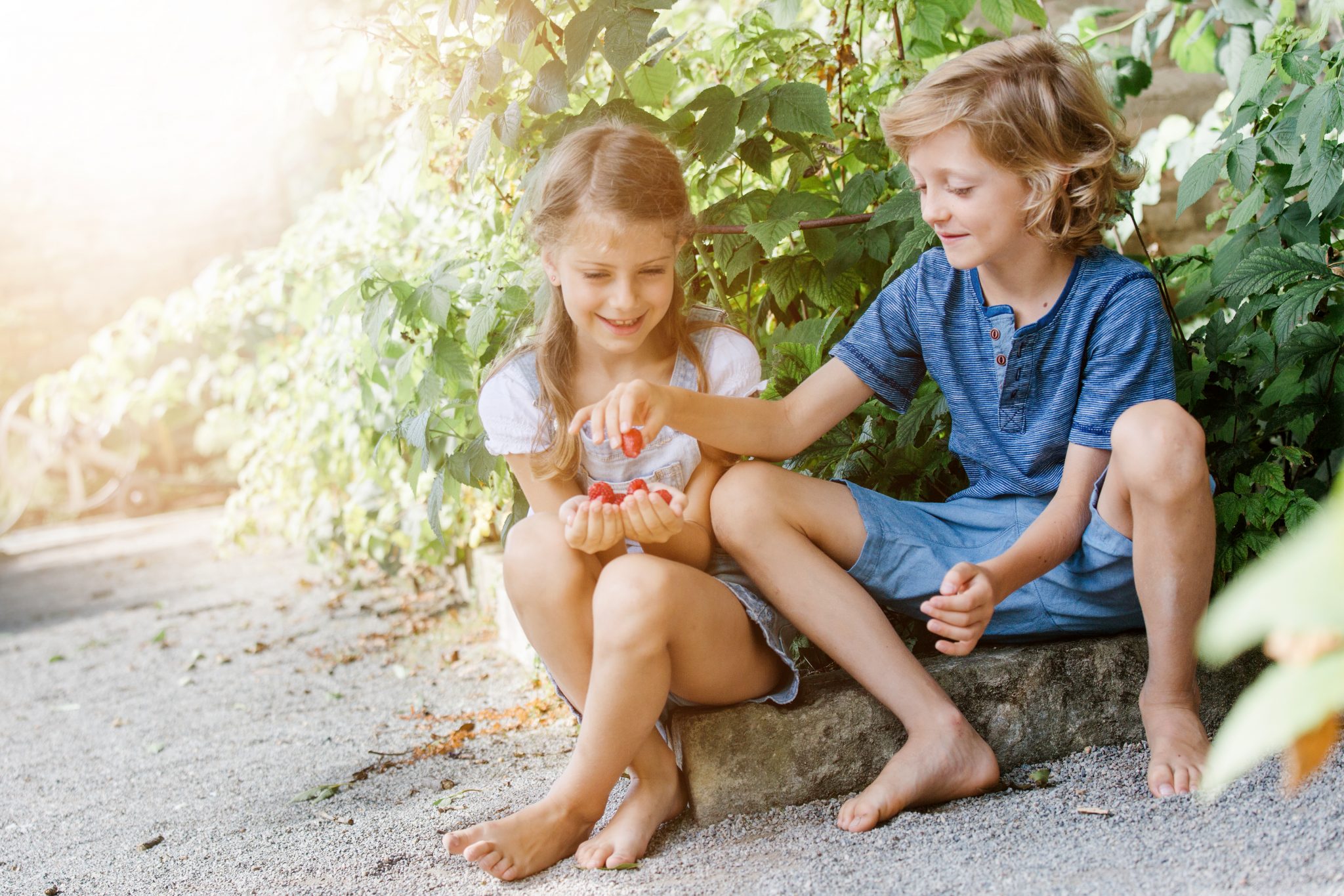 DSK_NoeCARD_Schloss_Hof_SK_77_13