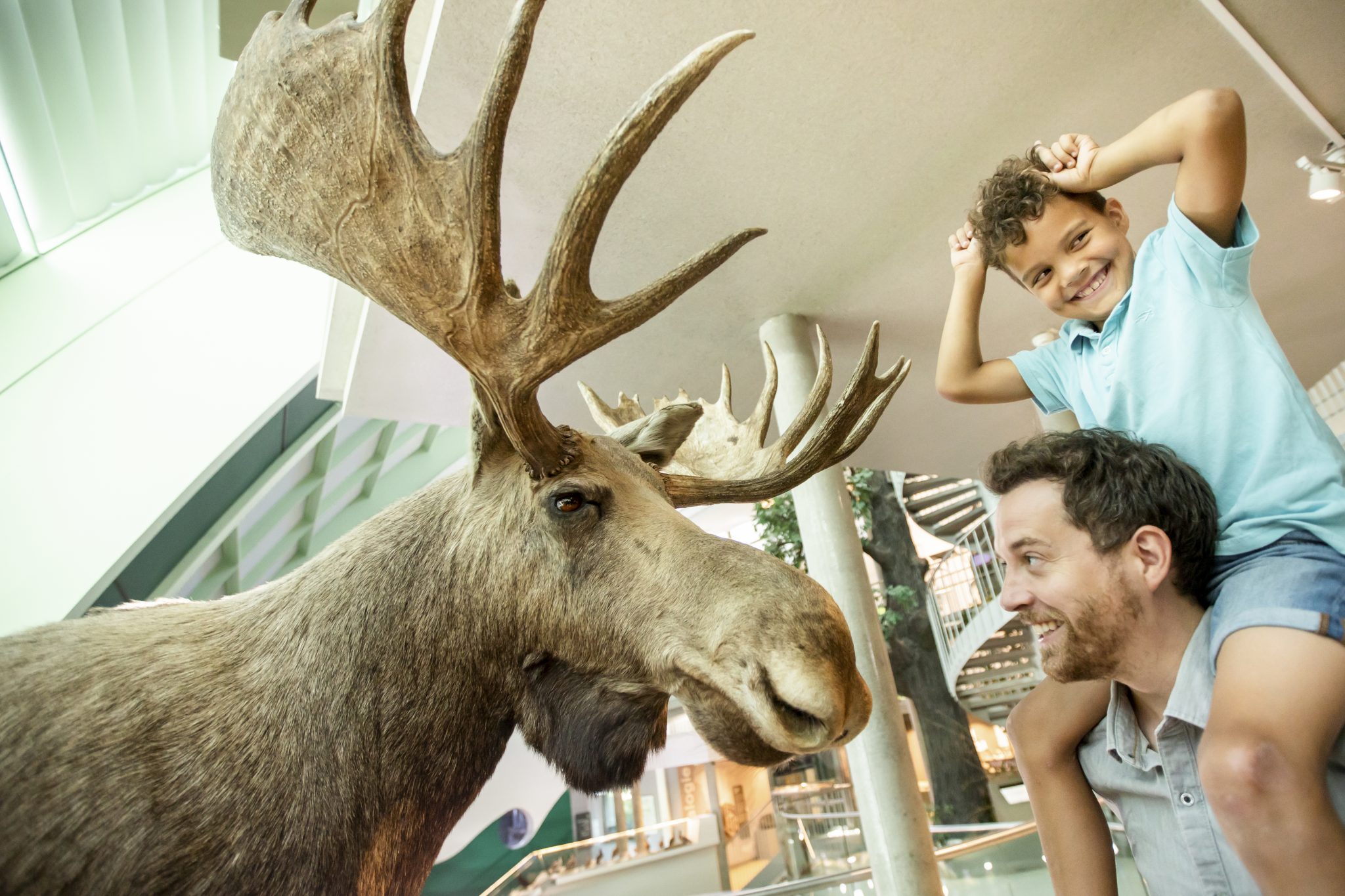 DSK_Noe_CARD_SK_19_30