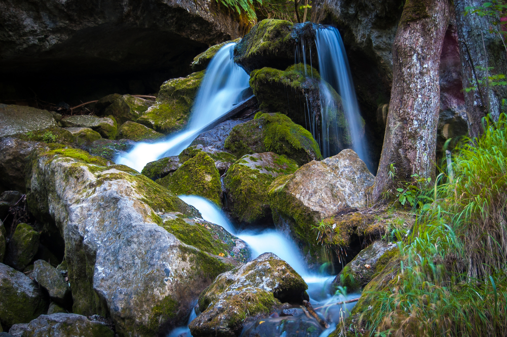 Series,Of,Beautiful,Views,On,Myra,Falls,Waterfalls,With,Mossy