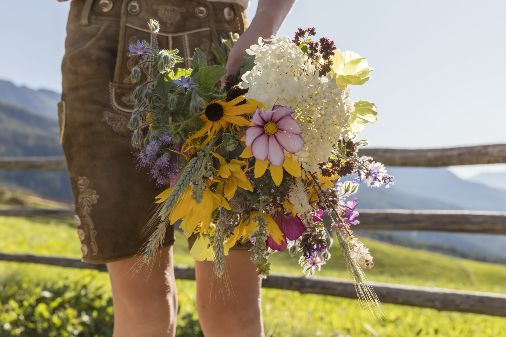 Suedtirol, Algund, Sommer 2019, Aschbach, auf dem Weg zu einer Geburtstagsfeier mit Zwetschgenkuchen,