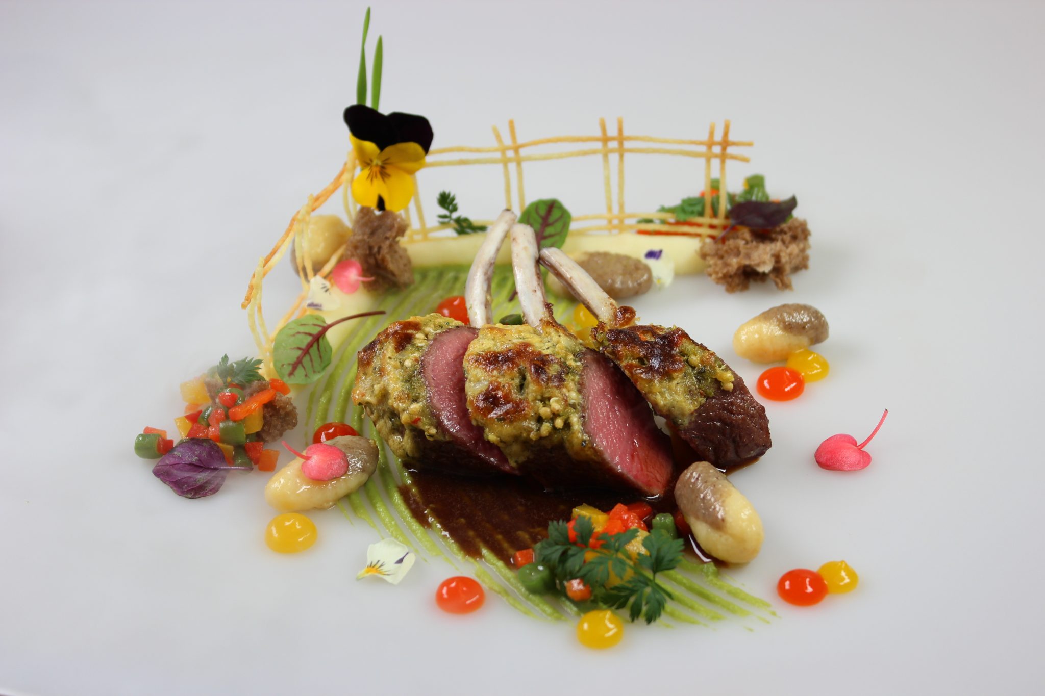 paznauner_schafl_im_weidezaun_von_haubenkoch_martin_sieberer_gourmet_relax_resort_trofana_royal_superior_0