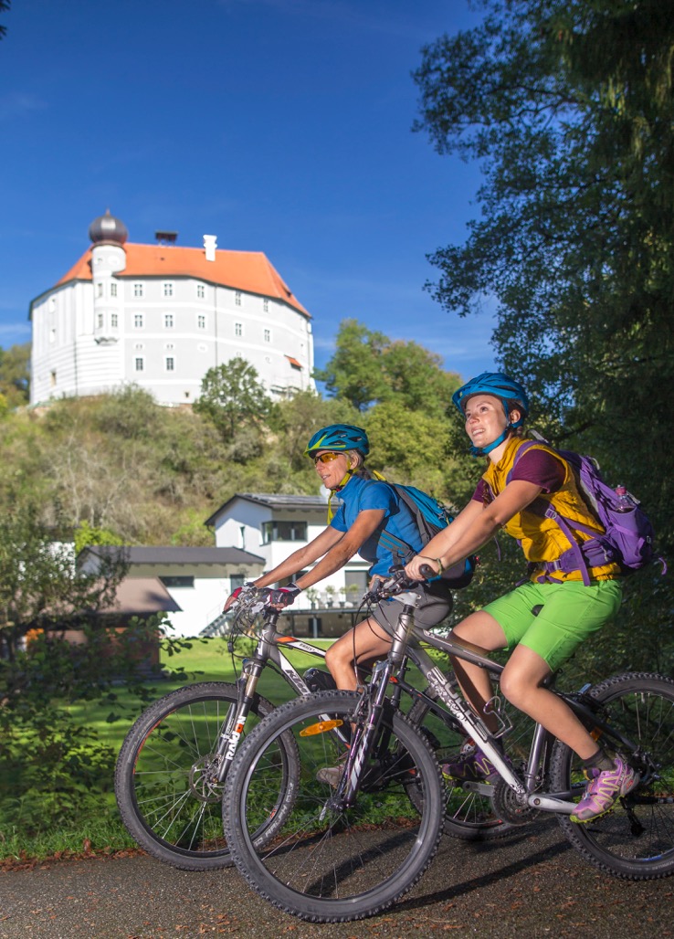 Falkensteinradweg: Blick auf Schloss Schönberg