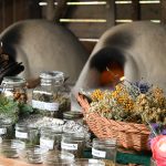 Erlebniswochenende „Räuchern in alten Zeiten“ (c) MAMUZ