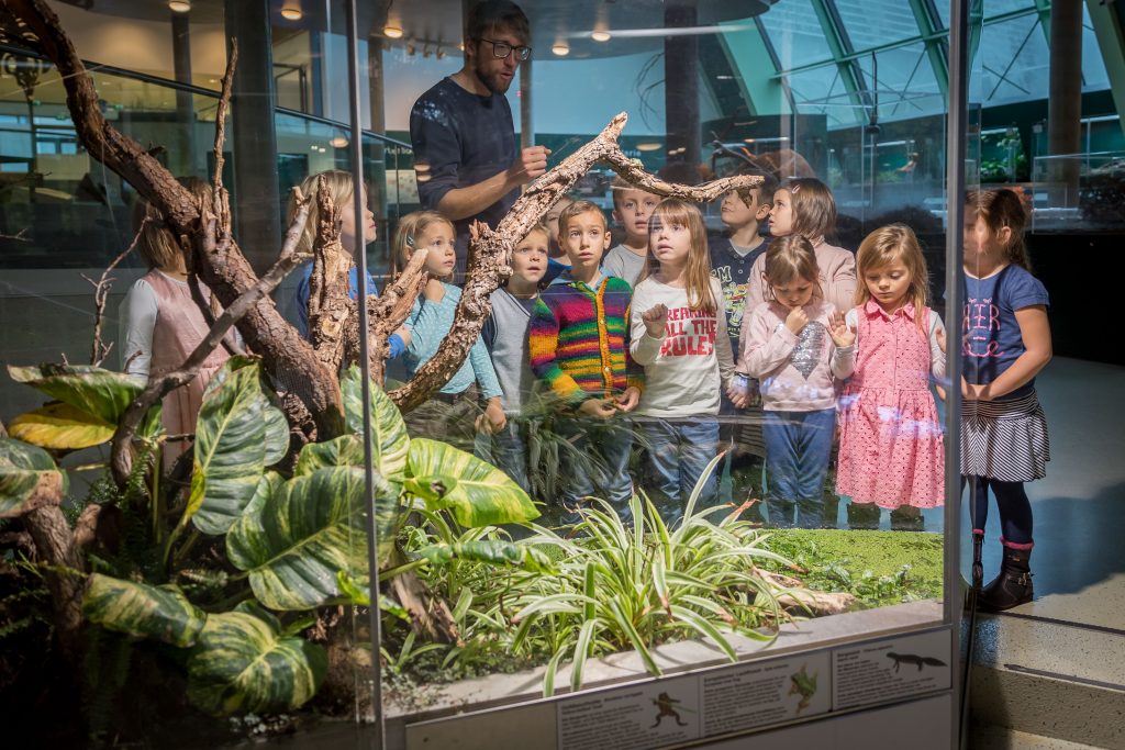 Familienführungen Haus für Natur Museum NÖ
