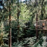 JODYs Baumparcours öffnet seine Pforten-4