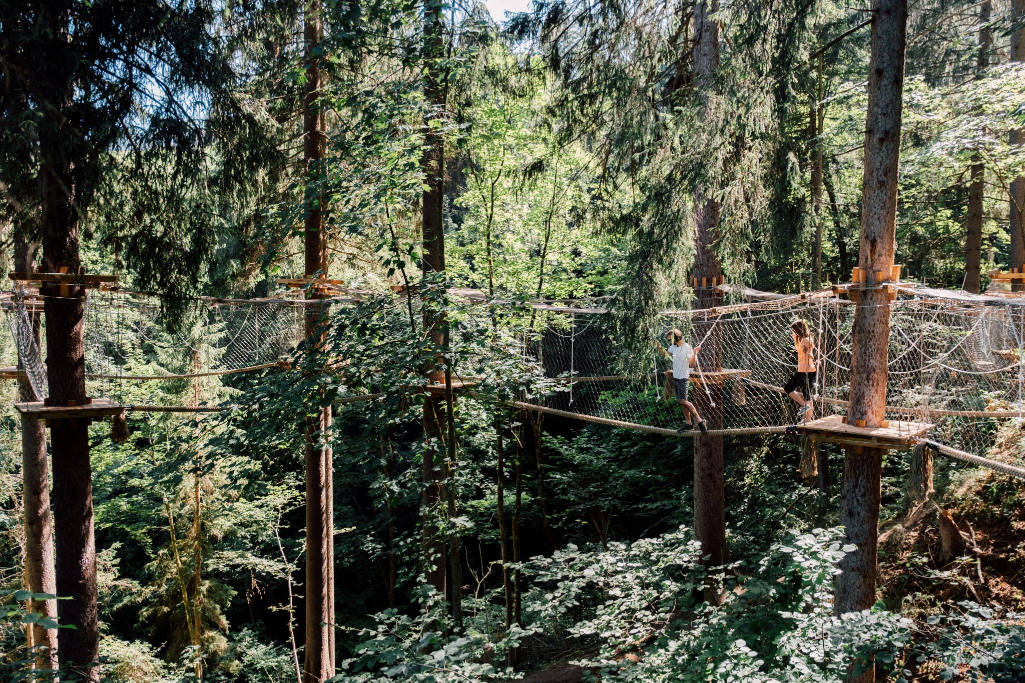 JODYs Baumparcours öffnet seine Pforten-4