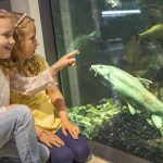 Natur erleben im Haus für Natur