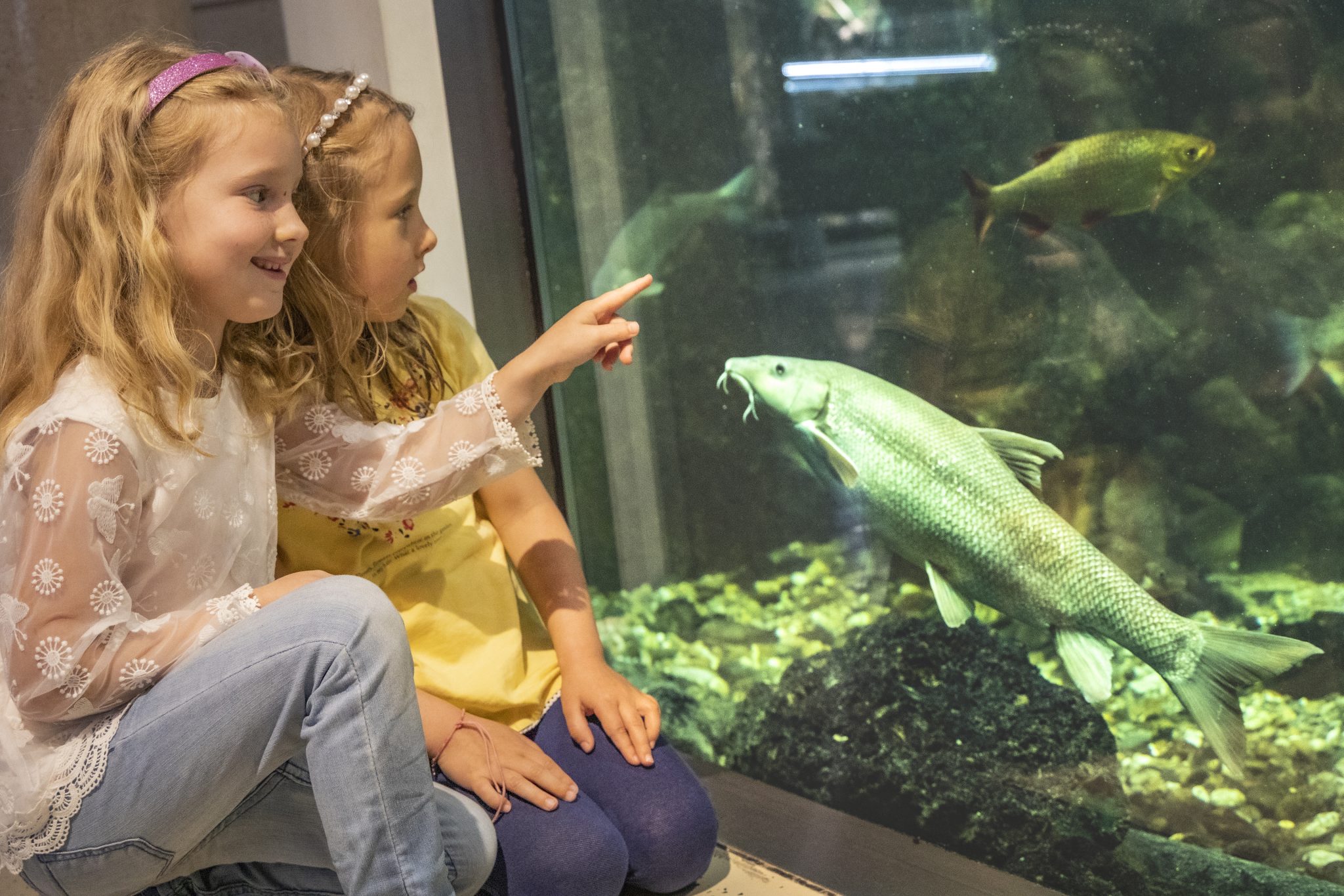 Natur erleben im Haus für Natur