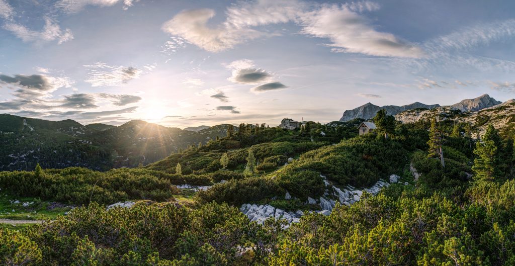 Im Wanderführer der Naturfreunde Österreich und den Österreichischen Bundesbahnen findet man zahlreiche Wandertouren, die mit dem öffentlichen Verkehr erreichbar sind.