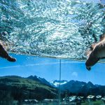 infinity-pool_mit_blick_in_die_berge_das_alpenwelt_resort