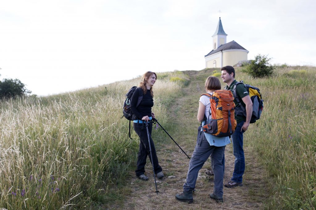 2_(c)WeinviertelTourismus_Wurnig (Ort Michelberg)