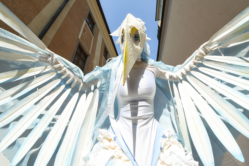 Pflasterspektakel_2019_c_stadt_linz_dworschak (1)