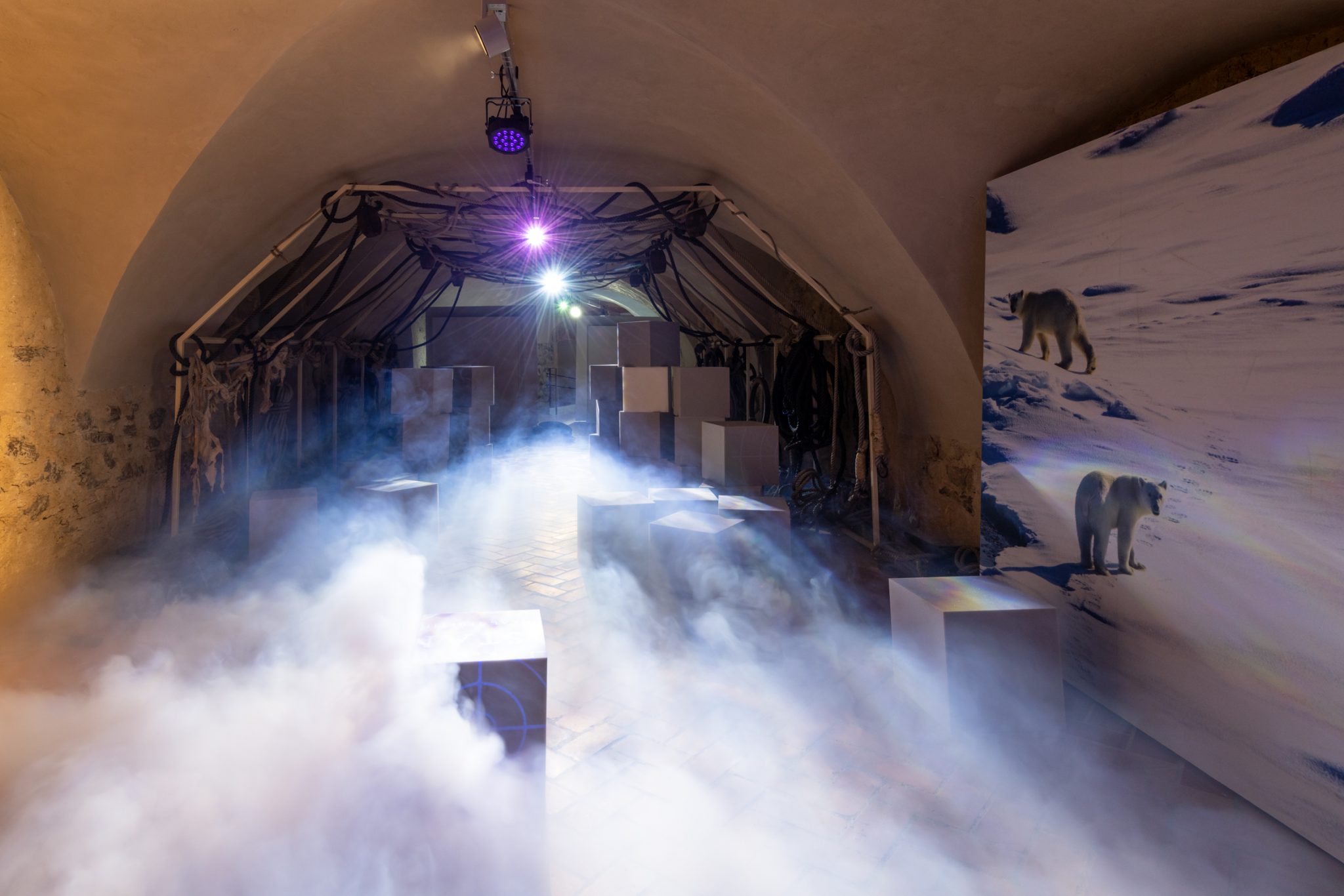 Top-Ausflugsziele Niederösterreichs-13