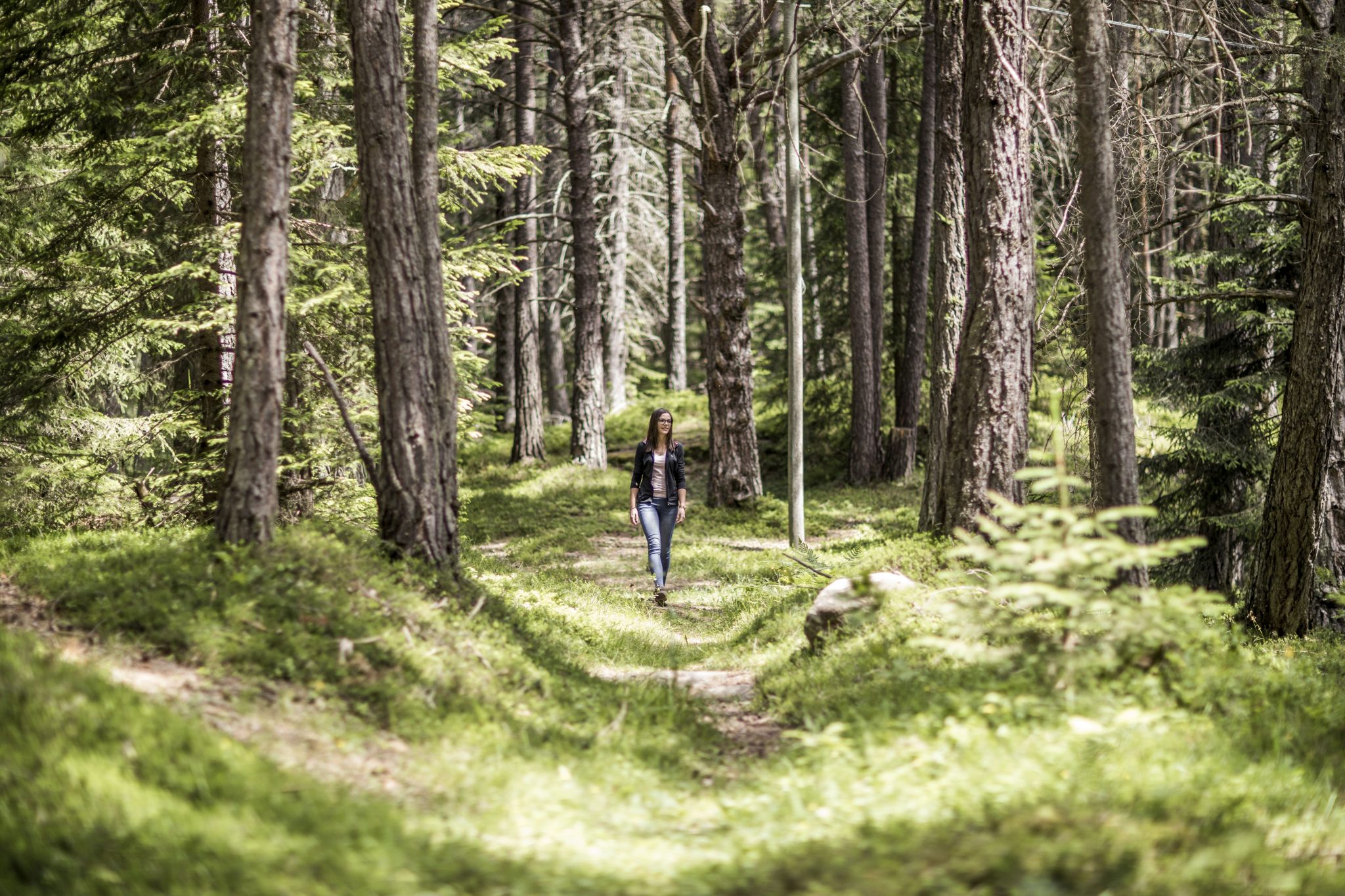 spazieren_im_tann_wald_hotel_tann